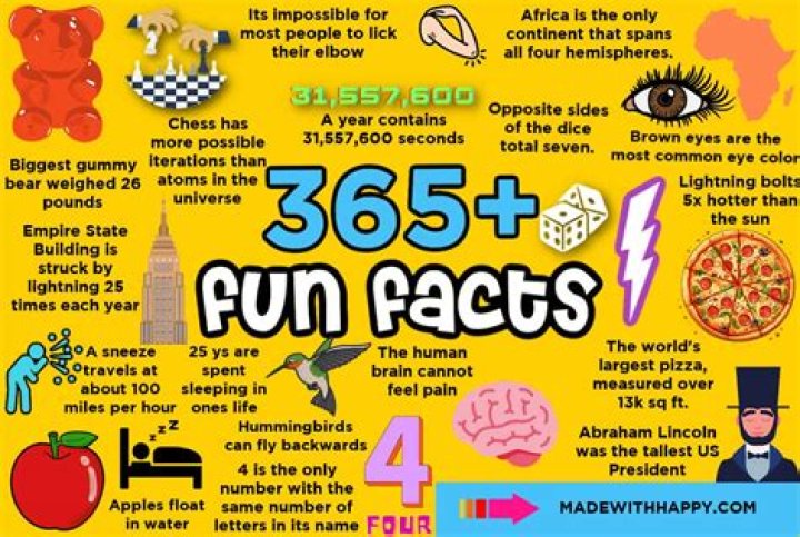 13 Interesting Things You Might Not Know About Bergerac I Heart