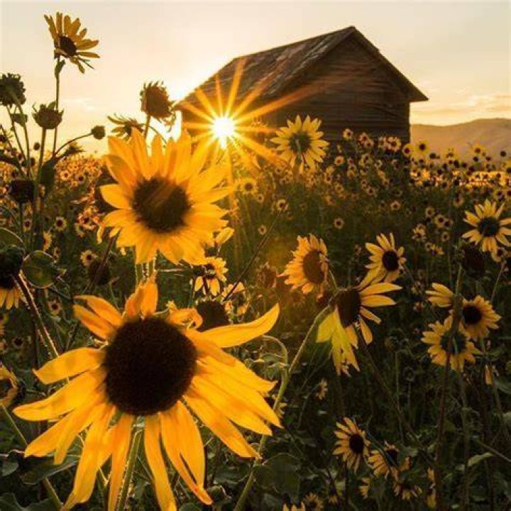 Create dynamic edits, curate your gallery and immerse yourself in