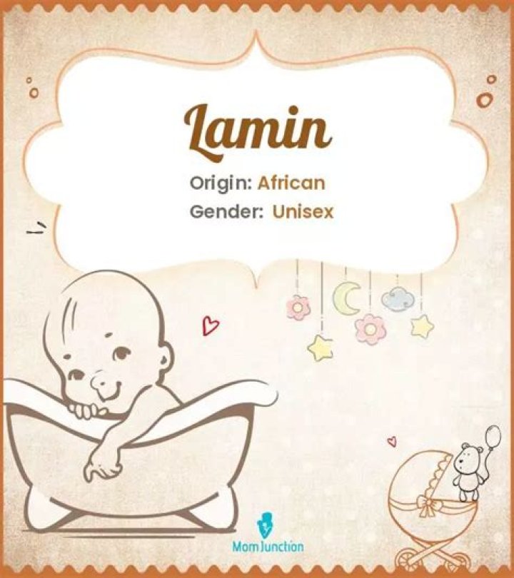 Explore Lamin Meaning, Origin & Popularity MomJunction
