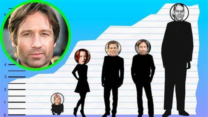 How tall is David Duchovny? Height of David Duchovny CELEBHEIGHTS™