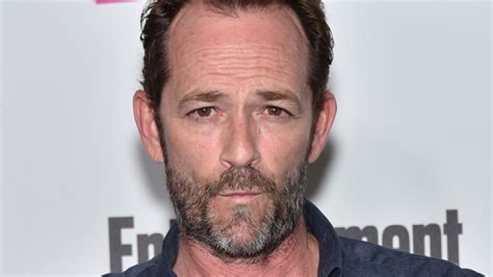 Luke Perry Cause of Death How Did Luke Perry Die? Observer