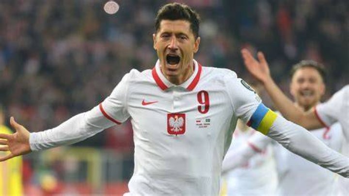 Robert Lewandowski's Family History And Lineage