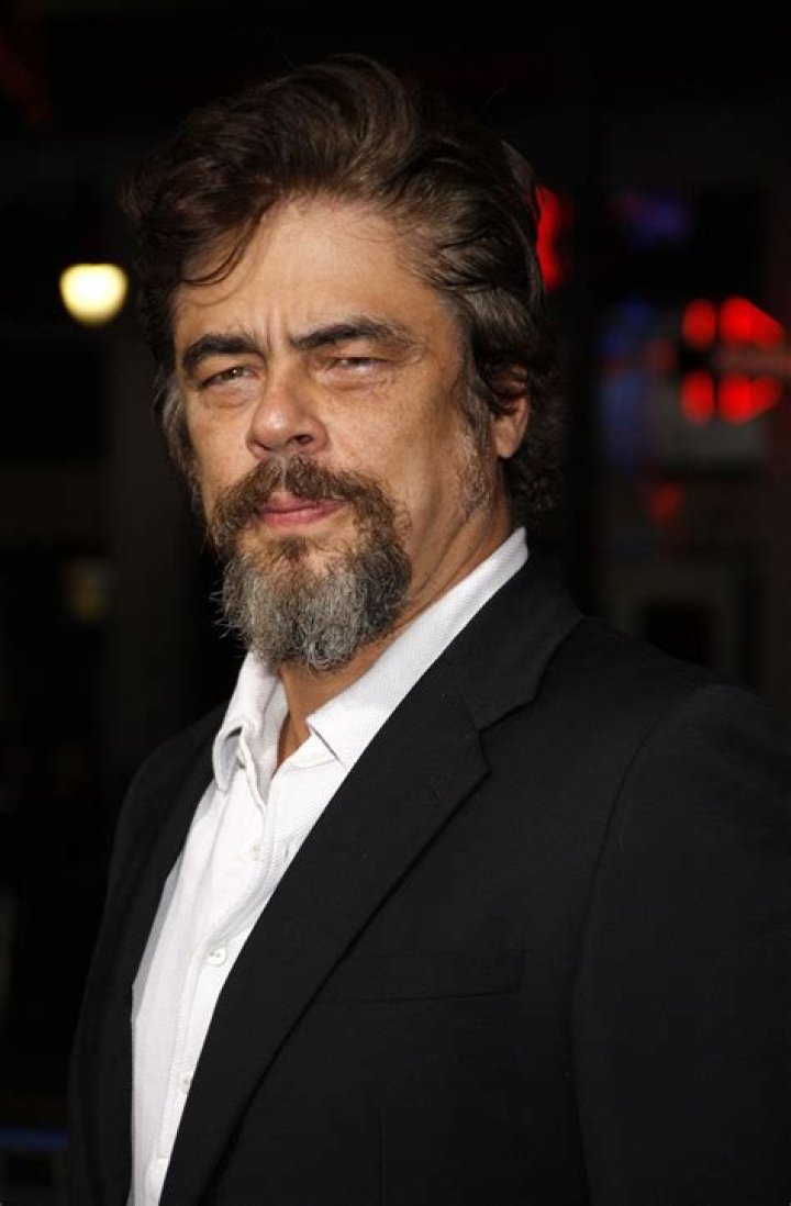 Who are Benicio Del Toro Parents? Meet Gustavo Adolfo del Toro Berm&uacute;dez